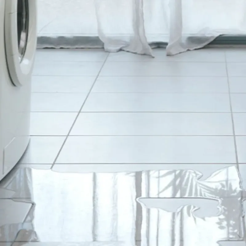 Appliance Leak Cleanup in Woodstock, NH