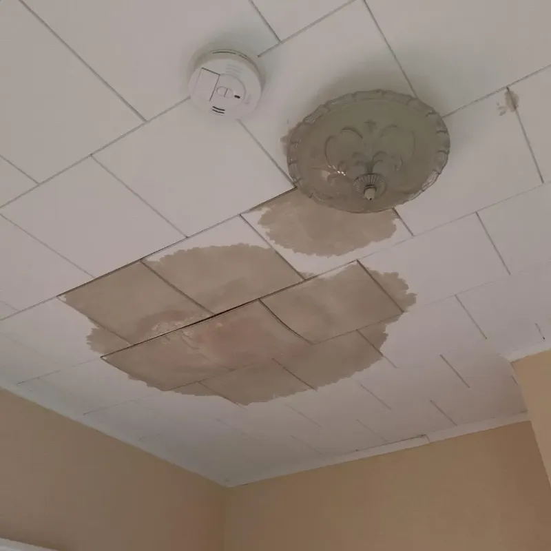 Ceiling Water Damage Repair in Woodstock, NH