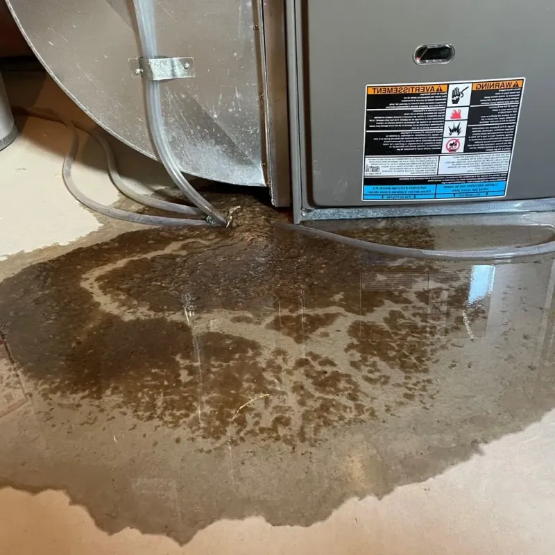 Pipe Burst and Leak Restoration in Woodstock, NH