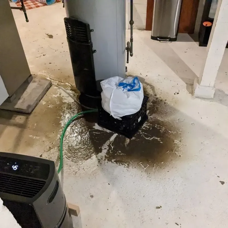 Sewage Backup Cleanup Service in Woodstock, NH